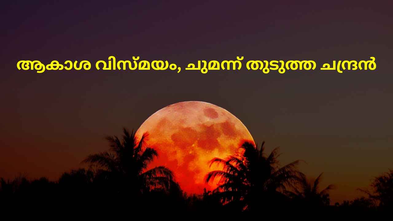 Chandra Grahan 2025: രക്തചന്ദ്രനെ ലൈവായി കാണാം, ഇന്ത്യൻ സമയവും വിശദാംശങ്ങളും