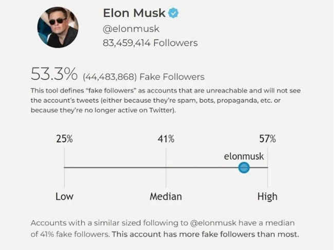 Musk fake accounts