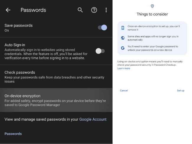 Google Password Manager