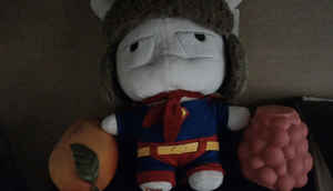 आसुस ज़ेनफ़ोन 2: कैमरा, परफॉरमेंस और अन्य की तुलना