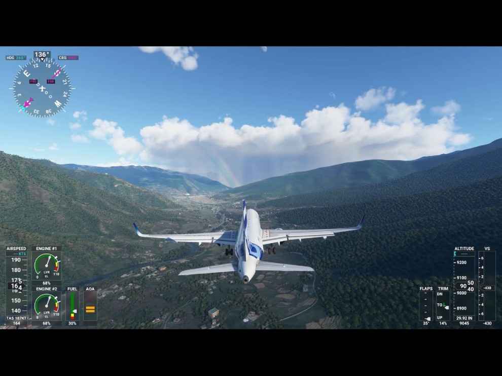 Microsoft Flight Simulator