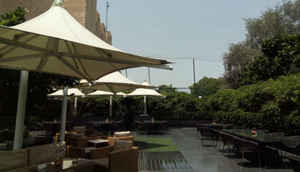 ज़ोपो स्पीड 7: पहली झलक