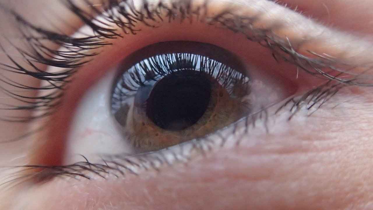Pig-skin corneal implant restores sight in blind, visually impaired | Digit