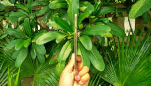 माइक्रोमैक्स स्लिवर 5 की पहली झलक