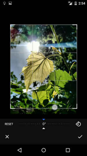 గూగల్ ఫోటోస్ కొత్త అప్లికేషన్ లీక్ ఇమేజెస్