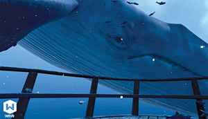 Top emerging hottest VR startups and what they are upto