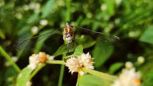 10 फोटोग्राफी ट्रिक्स जो आपकी फोटो को बना देने वाली हैं यादगार