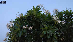 OnePlus 5 এ তোলা বিভিন্ন সময় কিছু ছবি দেখে নেওয়া