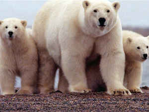 Disney+ Hotstar April release: চলতি মাসে রিলিজ হয়েছে Hotstar-এ এই সিনেমা এবং ওয়েব সিরিজ, দেখুন লিস্ট