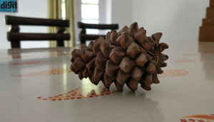 OnePlus 5 এ তোলা বিভিন্ন সময় কিছু ছবি দেখে নেওয়া