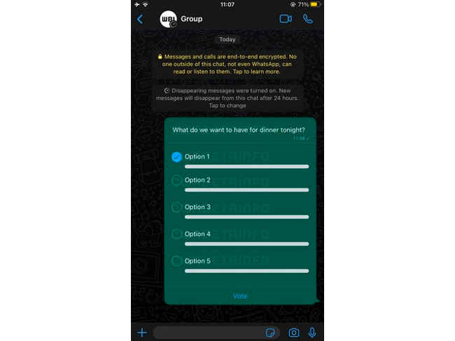 WhatsApp Polls for Group Chats