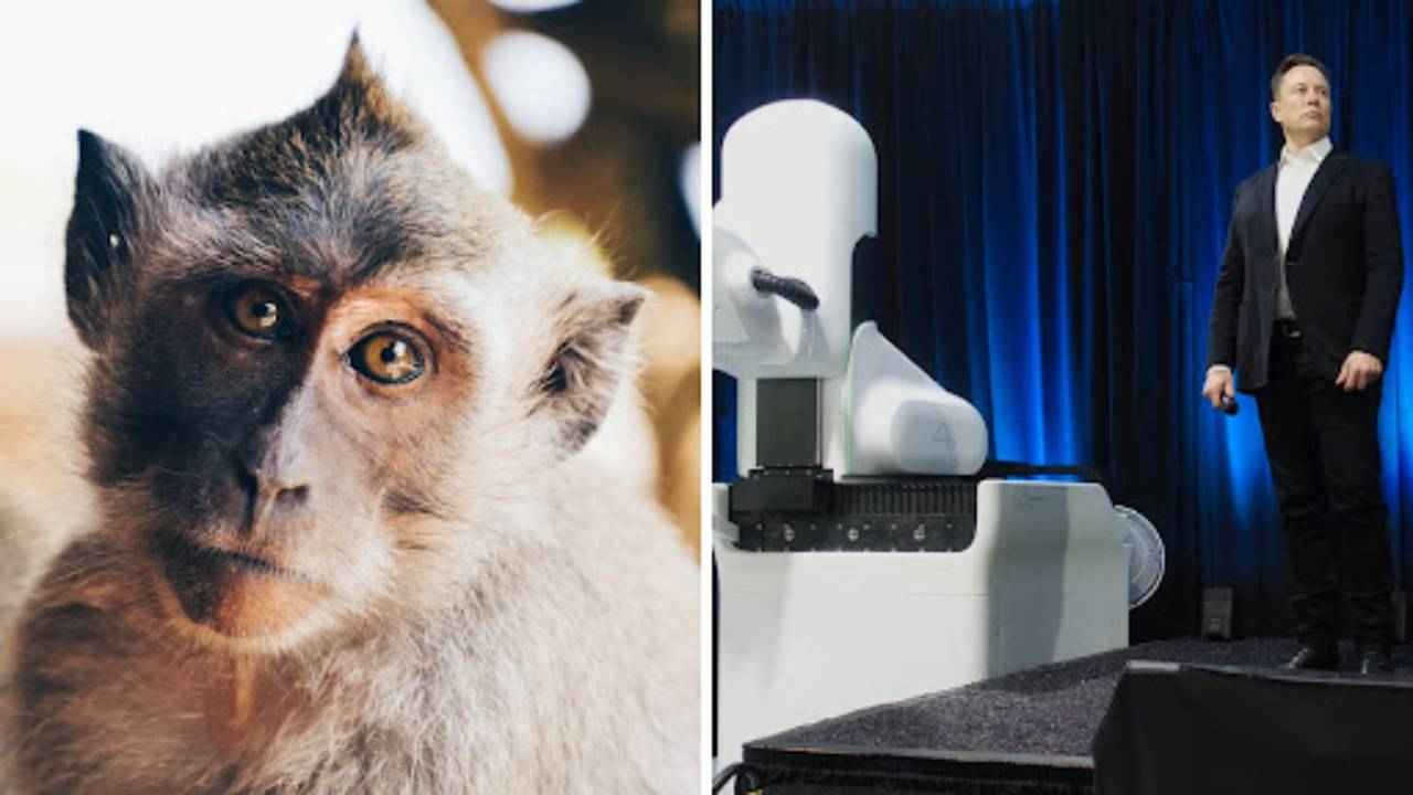 Musk’s Neuralink probed for killing 1500 animals in clinical trials: Can this be justified? | Digit