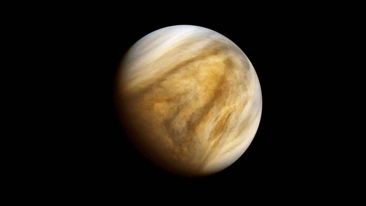 Scientists find potential signs on life on Venus