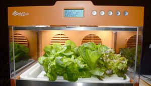 11 weird gadgets seen across 2015