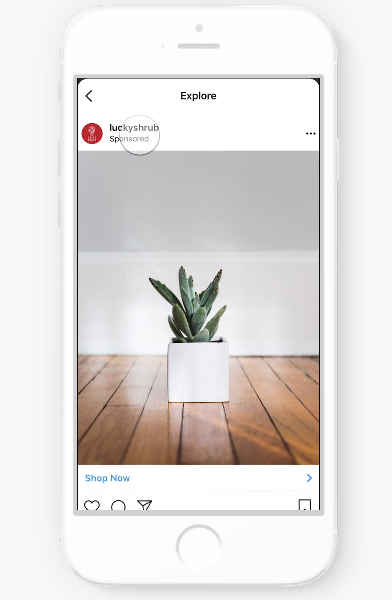 Instagram Advertisements In Explore Tab