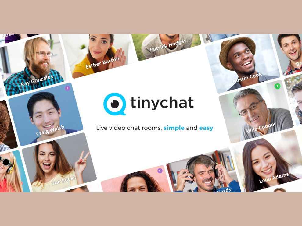 TinyChat