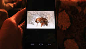 इनफोकस M350, M530 और M330 की एक झलक