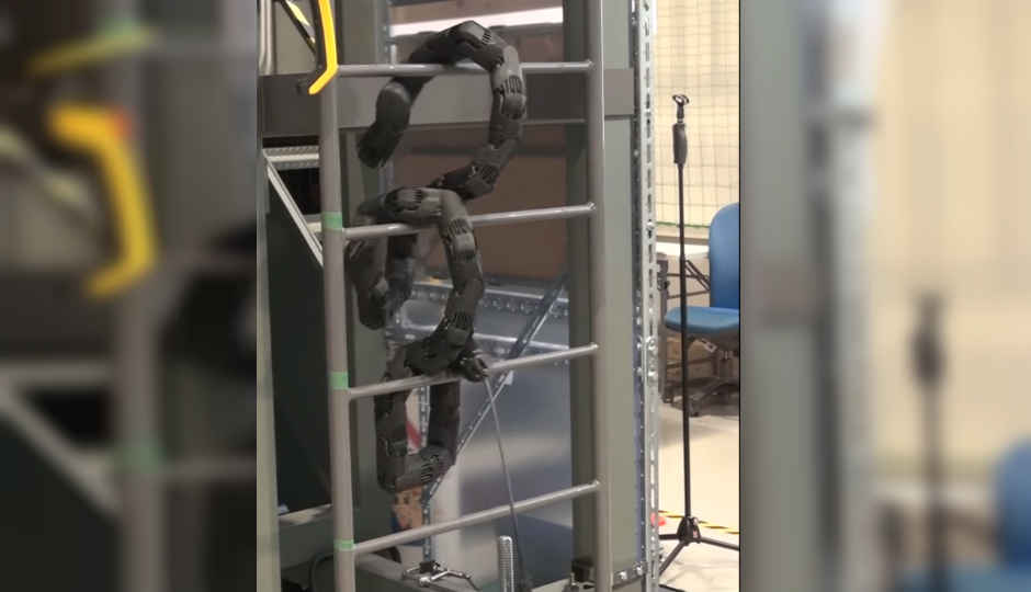 Researchers develop snake-like robot that can climb ladders