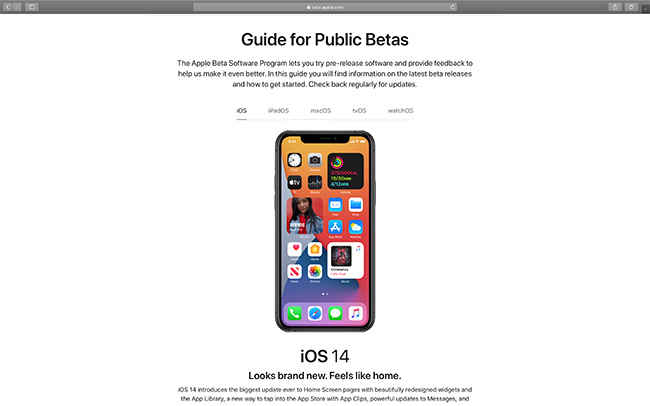 iOS14 Public Beta and iPadOS 14 Public Beta are now live for users to experience.