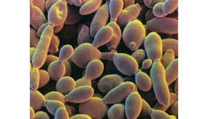 The 18 biggest inventions & discoveries of 2014