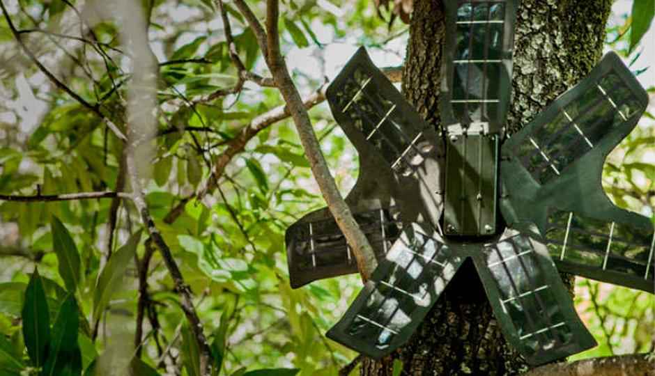 Rainforest Connection plans to use your old smartphone to help save forests