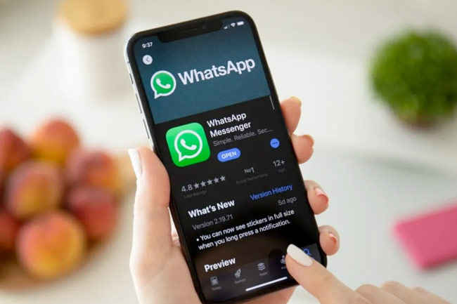 video chat on whatsapp desktop