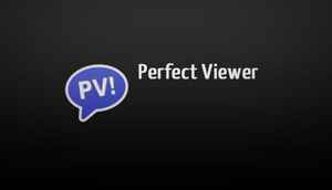 Perfect Viewer