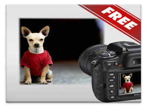 फोटोग्राफीची मूळ बाराखडी शिकवतील हे अॅप्स