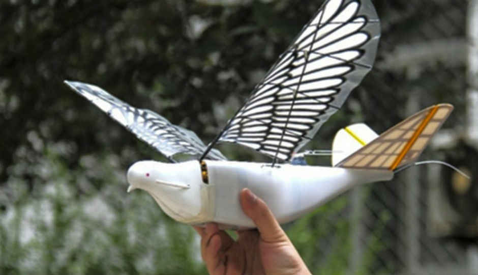 China launches high-tech bird drones called Doves to spy on its citizens