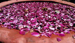 Lava Icon: First Impressions