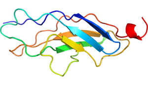 10 record holders of the Universe