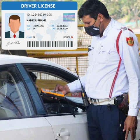 driving license 