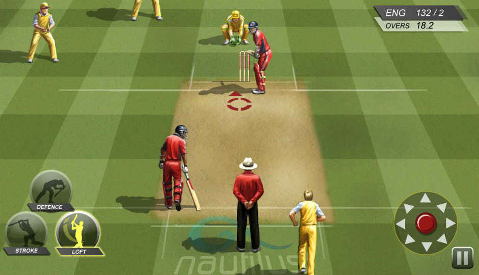 cricket video game