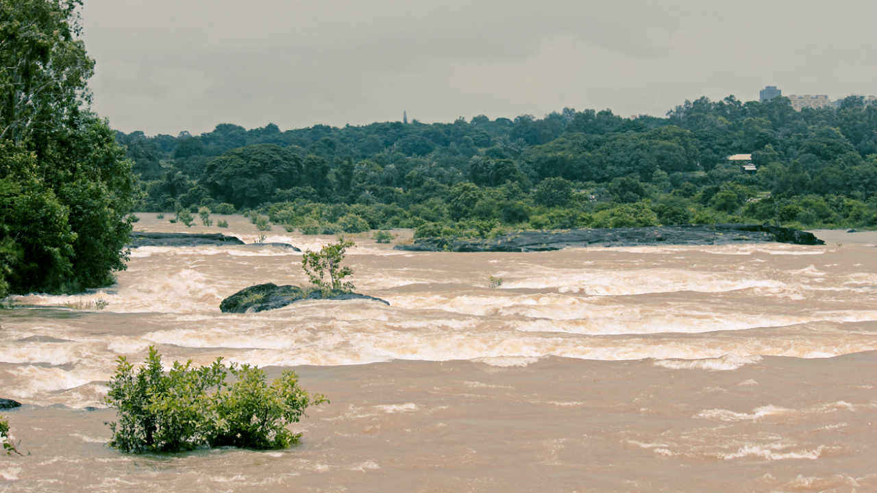 Cyclonic Storm Nisarga की लाइव ट्रैकिंग कैसे करें?