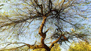 10 फोटोग्राफी ट्रिक्स जो आपकी फोटो को बना देने वाली हैं यादगार