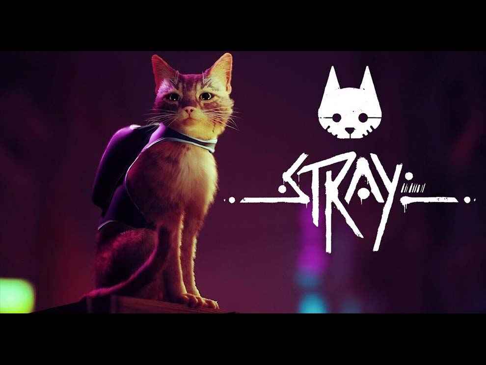 Stray