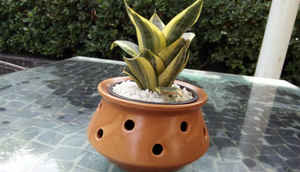 ज़ोपो स्पीड 7: पहली झलक