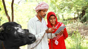 इन Airtel और Vodafone Idea प्लान्स के साथ फ्री में मिलती है Amazon Prime Membership