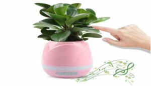 ಹೊಚ್ಚ ಹೊಸ ಬ್ರಾಂಡೆಡ್ ಕಂಪನಿಗಳ ಗೃಹೋಪಯೋಗಿ ಮತ್ತು ಎಲೆಕ್ಟ್ರಾನಿಕ್ ವಸ್ತುಗಳ ಮೇಲೆ ಪೆಟಿಎಂ ಮಾಲ್ ನೀಡುತ್ತಿದೆ ಅದ್ದೂರಿಯ ಡಿಸ್ಕೌಂಟ್ ಮತ್ತು ಕ್ಯಾಶ್ ಬ್ಯಾಕ್.