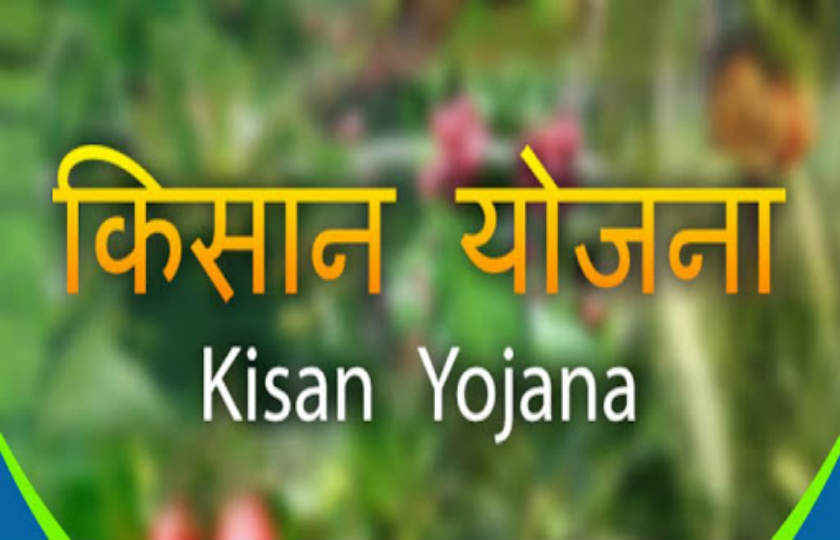 शेतीविषयक इत्यंभूत माहिती देतील हे अॅप्स आणि ते ही मराठीतून!