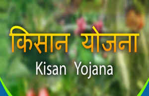 शेतीविषयक इत्यंभूत माहिती देतील हे अॅप्स आणि ते ही मराठीतून!