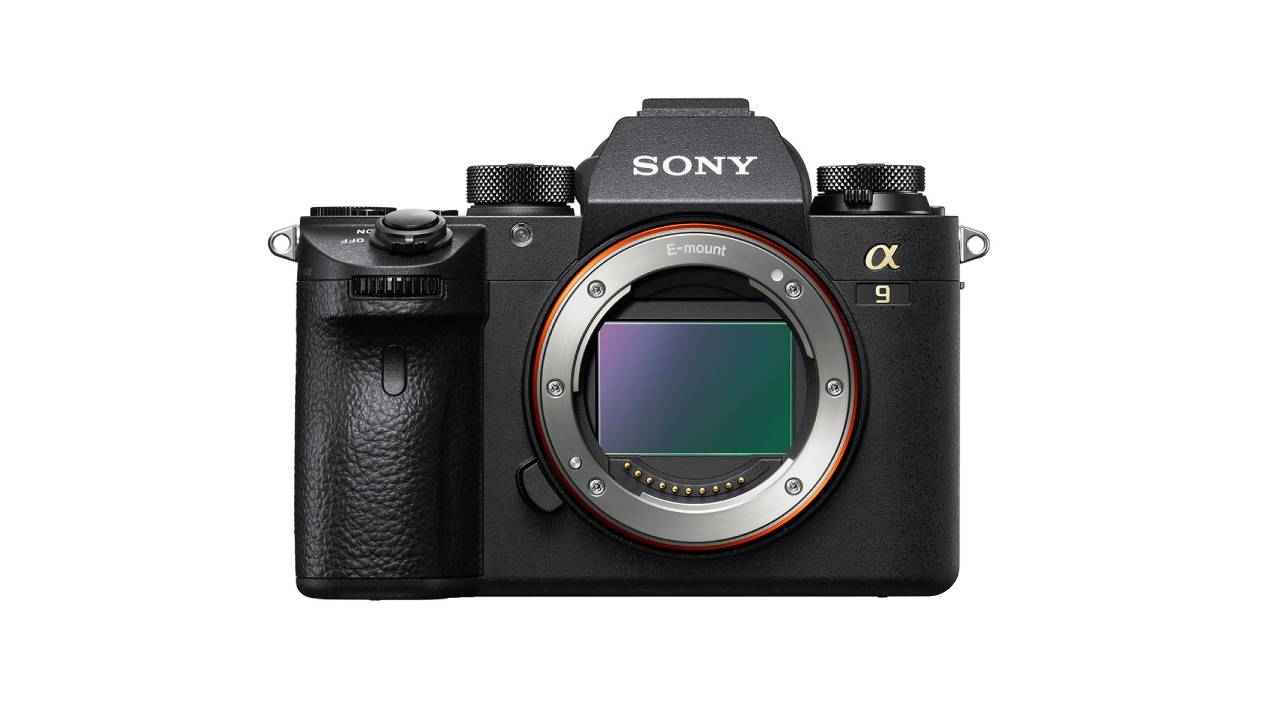  Best  cameras  for portrait photography  Digit