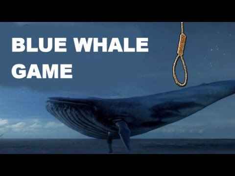 ఇండియా లో Blue  Whale  గేమ్ కి మరొకరి  బలి …!!!