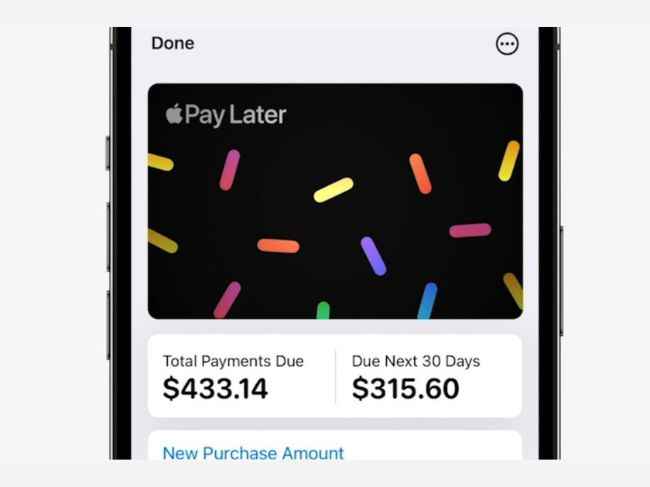 Apple Pay Later options