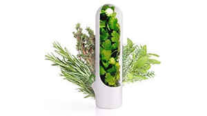 तुमची लाइफस्टाइल आणखी सोपी करण्यासाठी हे गॅजेट्स सर्वोत्तम, Amazon India वर उपलब्ध