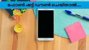 Phone Tips: പ്രശ്നമായാൽ അപ്പോൾ റീസ്റ്റാർട്ട്! വൈറസിനെ അകറ്റാൻ ഇത് മതിയോ?
