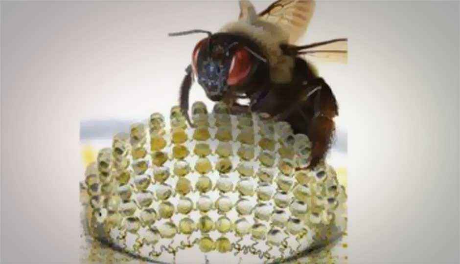 Scientists developing ‘bug-eye’ camera that gives 180-degree view