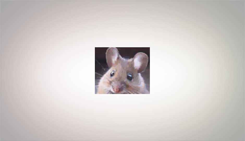 Scientists reverse old age symptoms in mice