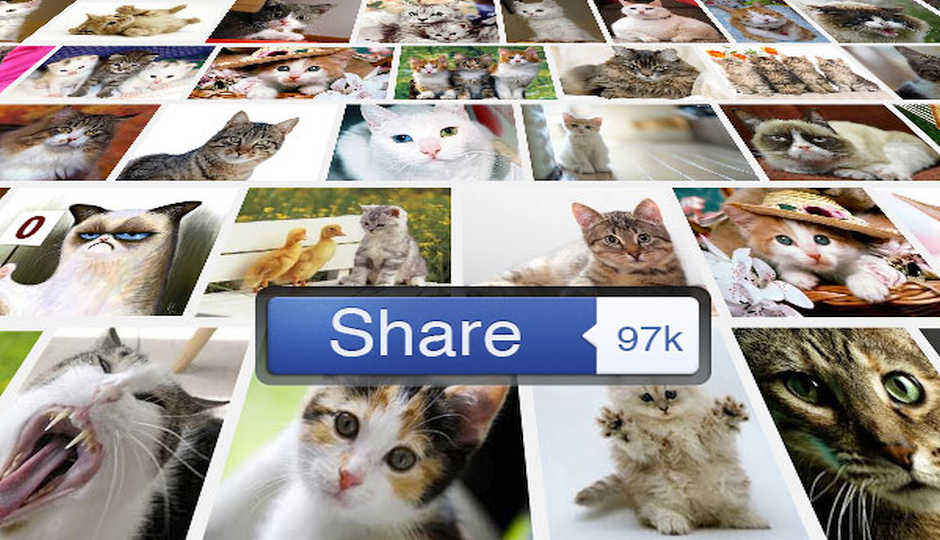 New algorithm predicts which photos go viral on Facebook