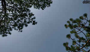 OnePlus 5 এ তোলা বিভিন্ন সময় কিছু ছবি দেখে নেওয়া